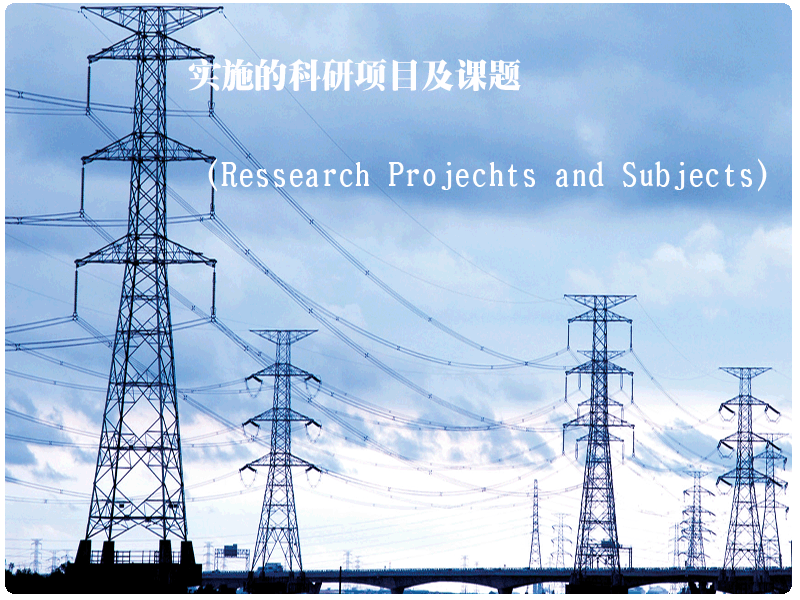 實施的科研項目及課題（Ressearch Projechts and Subjects）